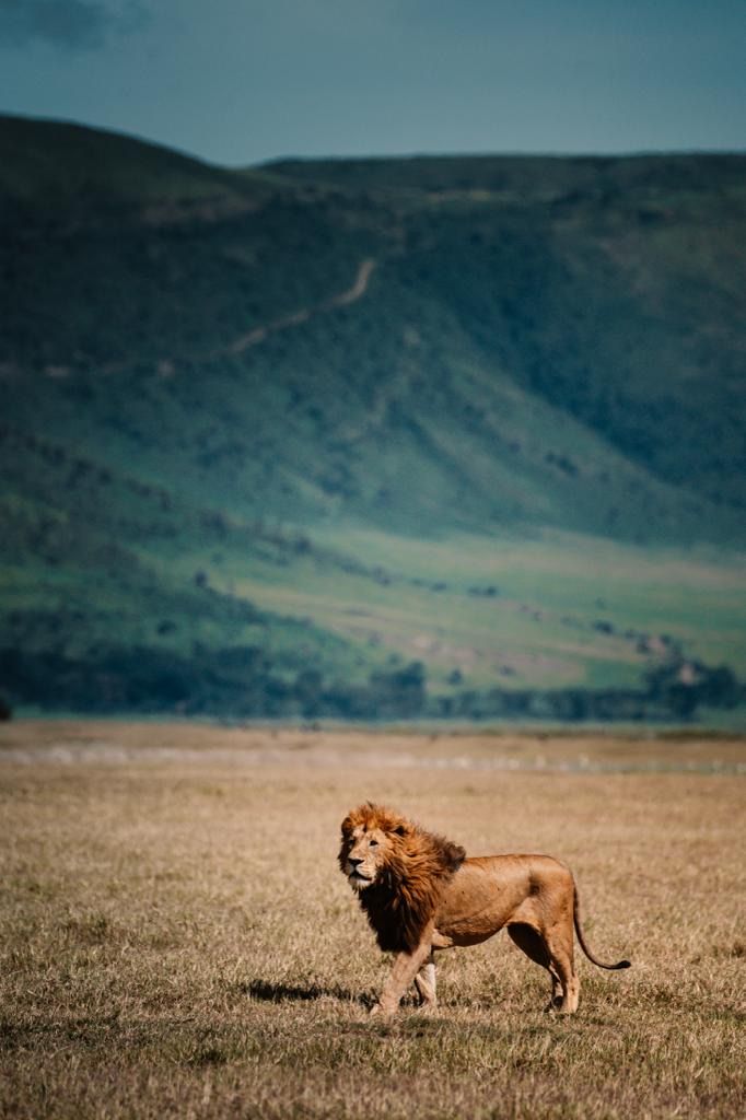 Serengeti & Zanzibar Adventure