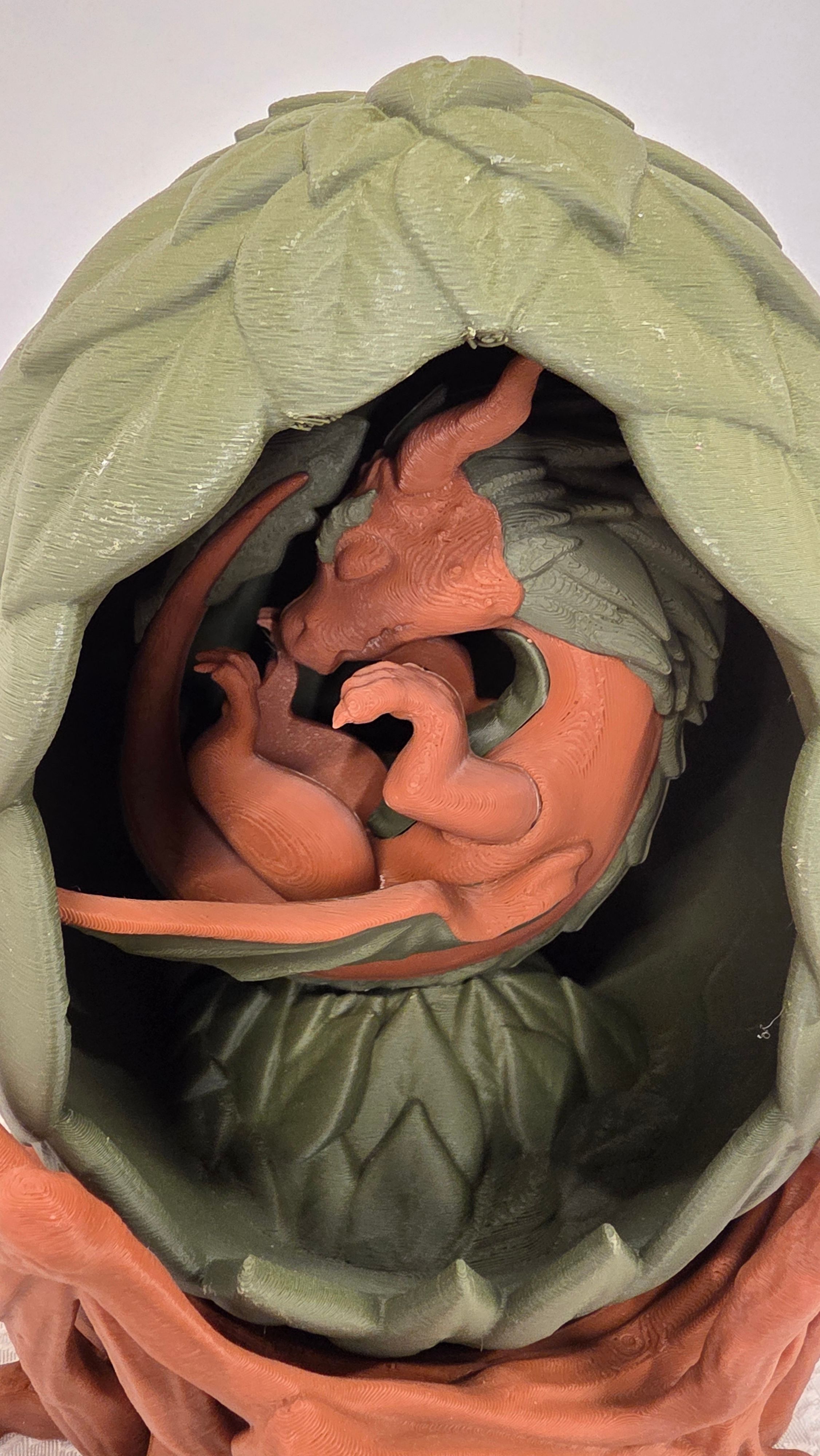 Orange dragon in green leaf pod egg