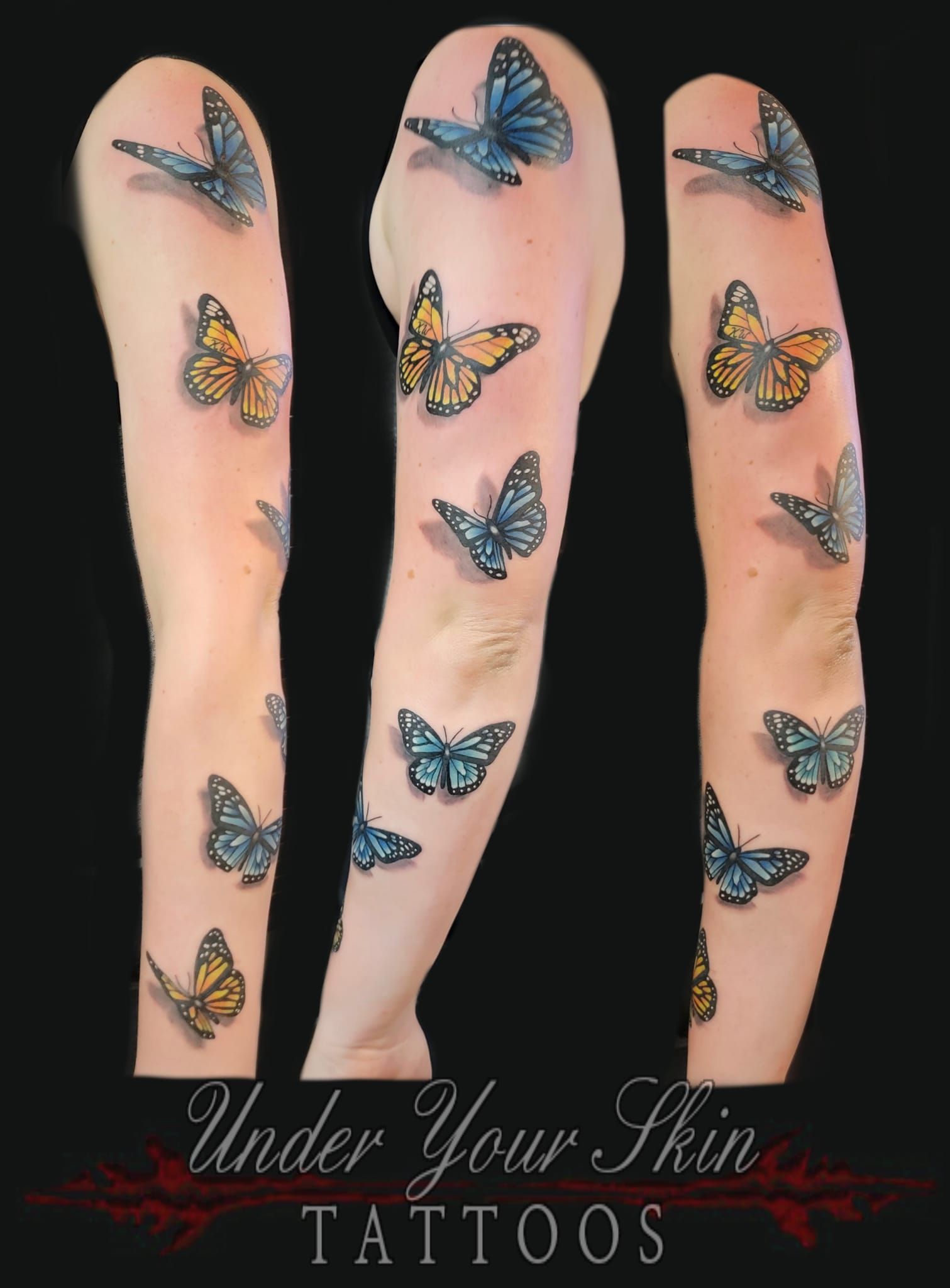 3D Butterflies