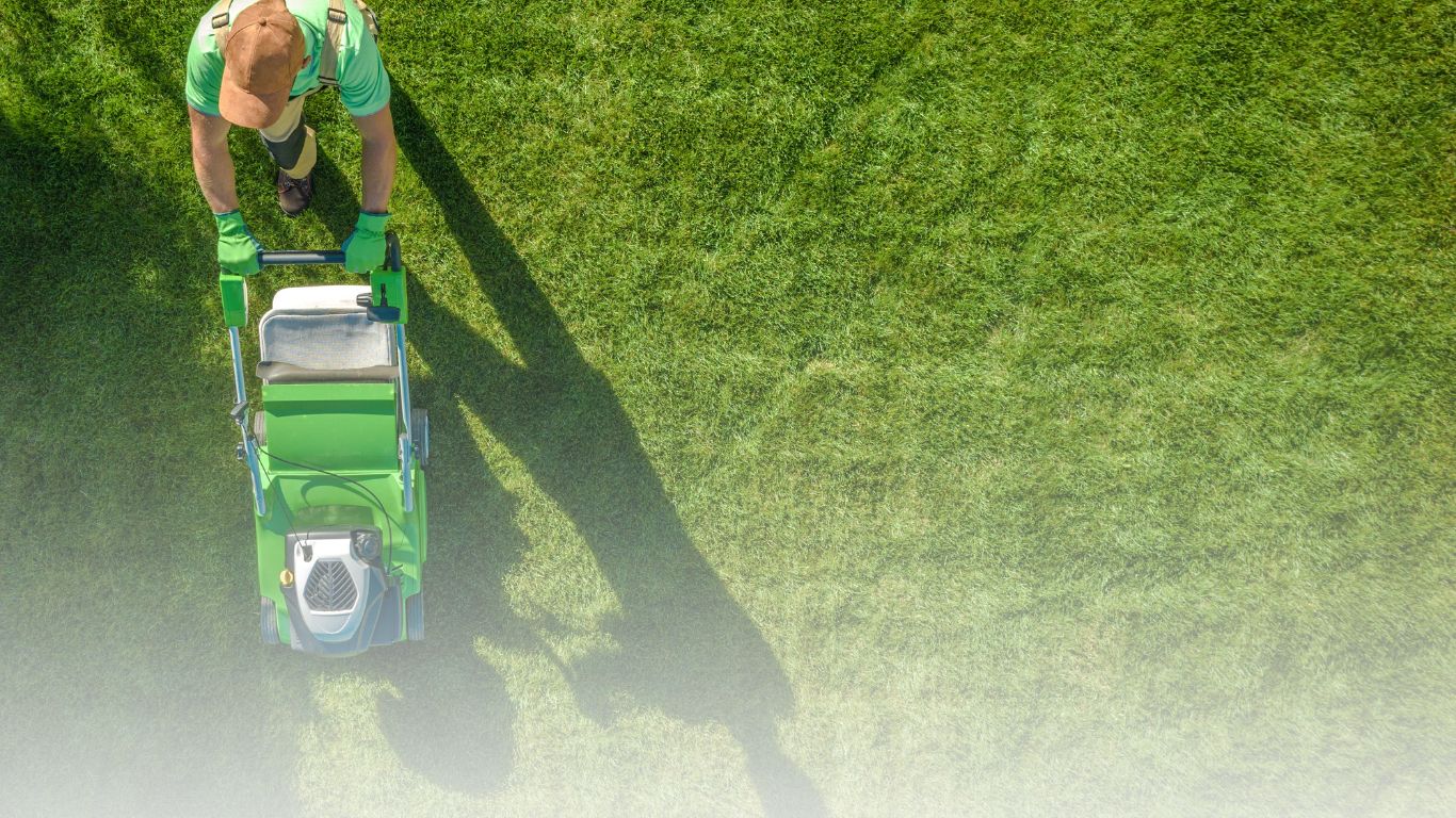 Professional lawn care