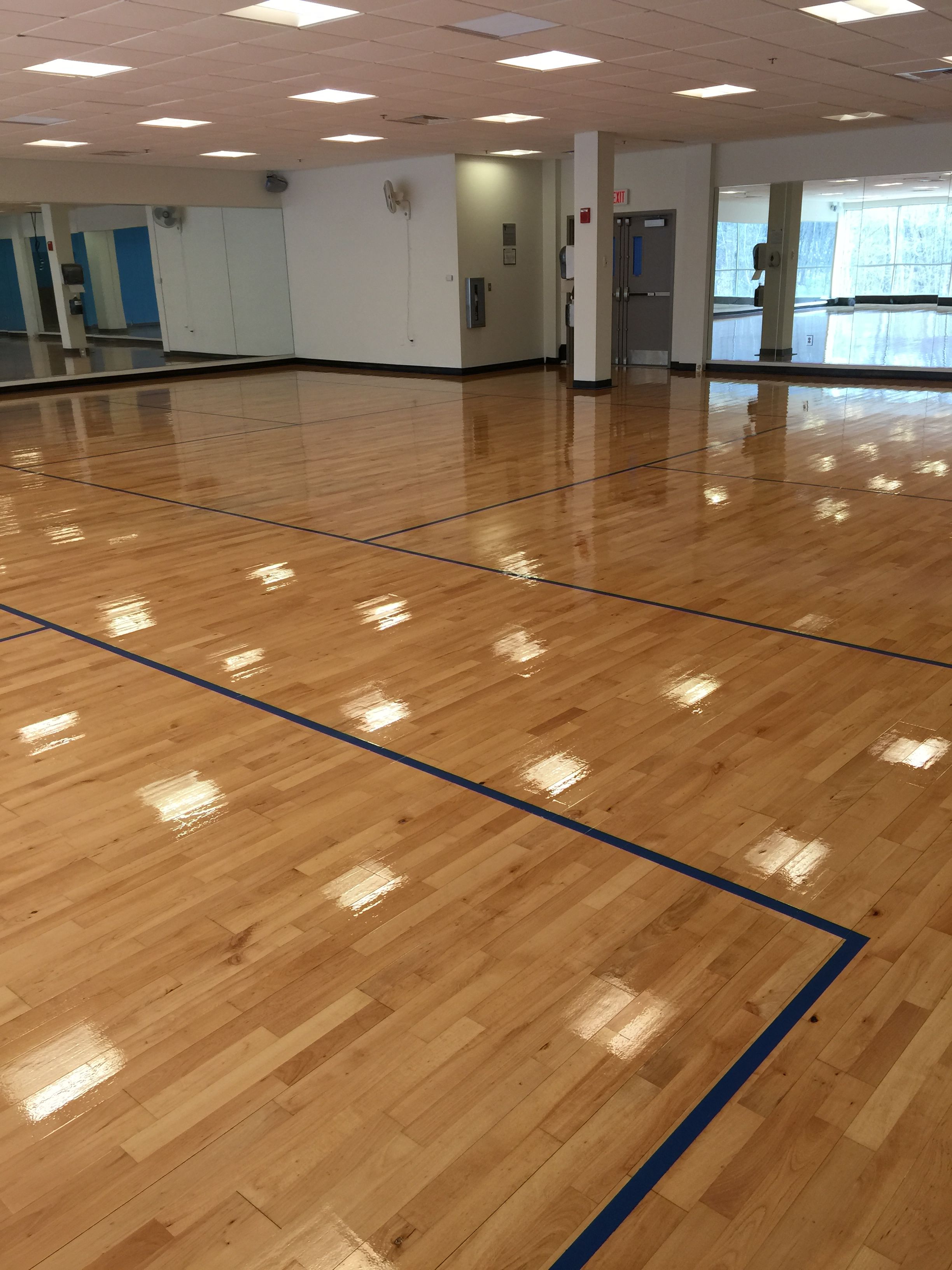 Commercial gym maple hardwood floor after refinishing — bright restored maple with new blue court lines