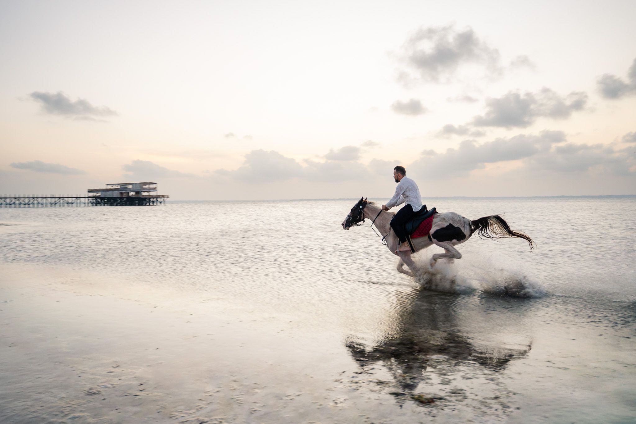Horse galloping on Zanzibar beach