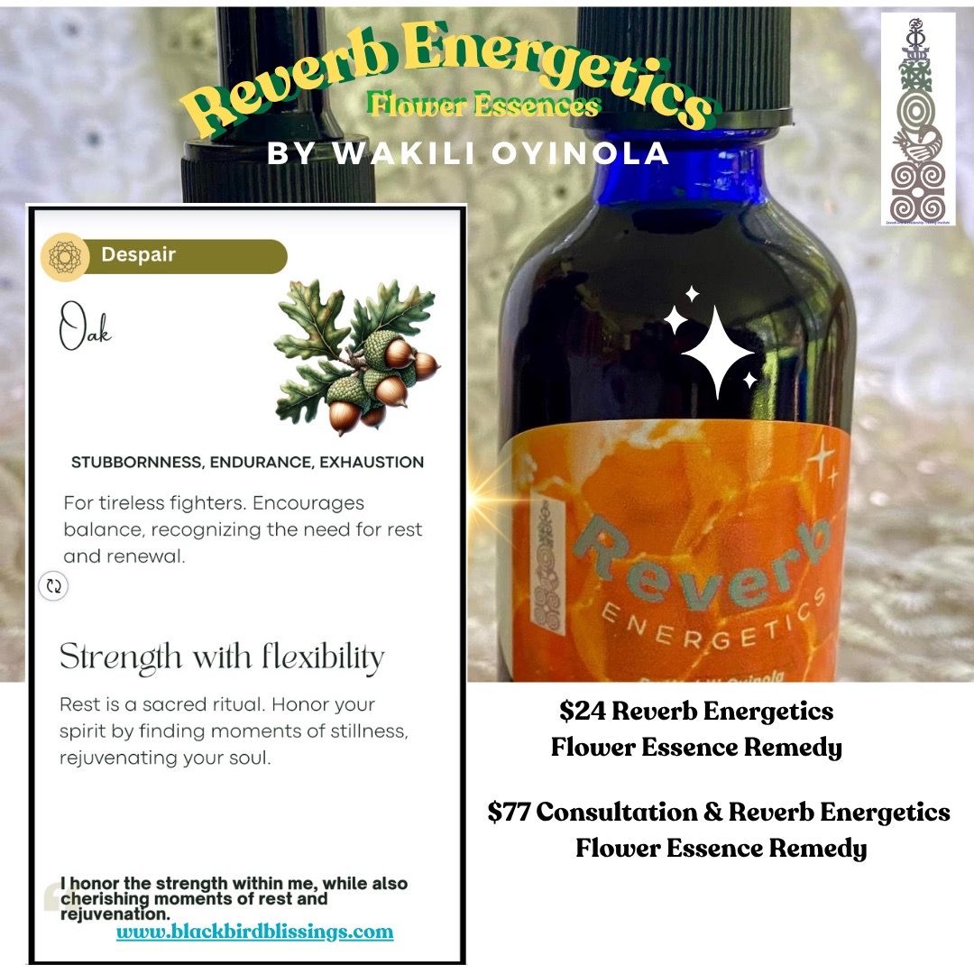 Reverb Energetics flower essence remedy with educational card