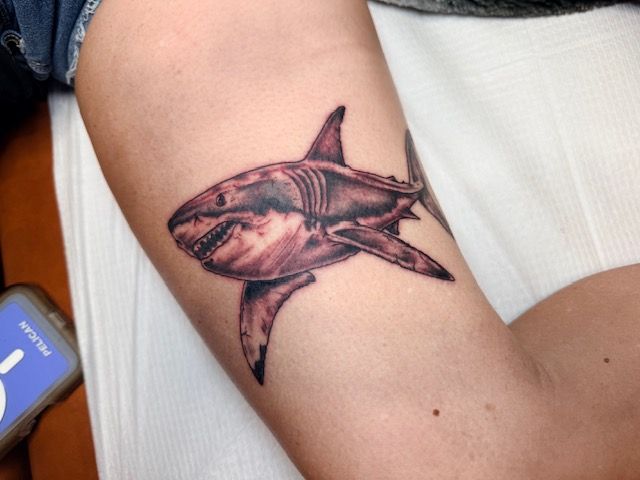Realism tattoo by Justin - shark on upper arm