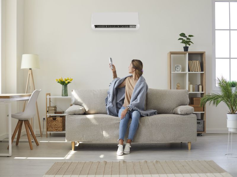 Whole-Home Dehumidifiers