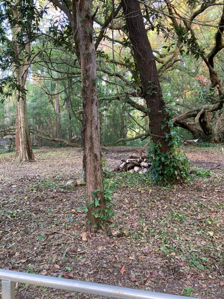 Property maintenance