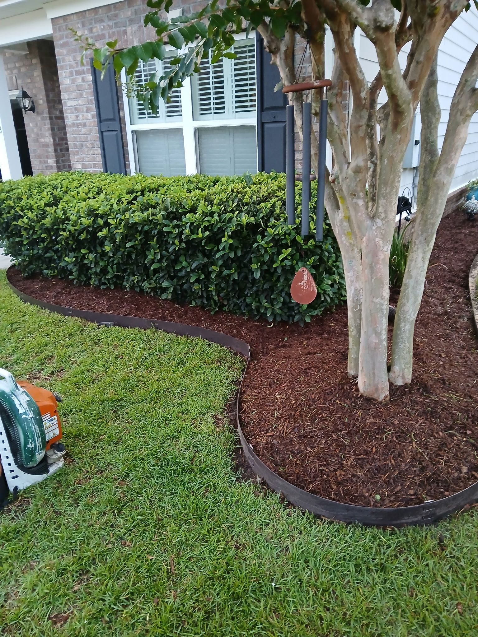 Garden bed with mulch and trimmed hedges