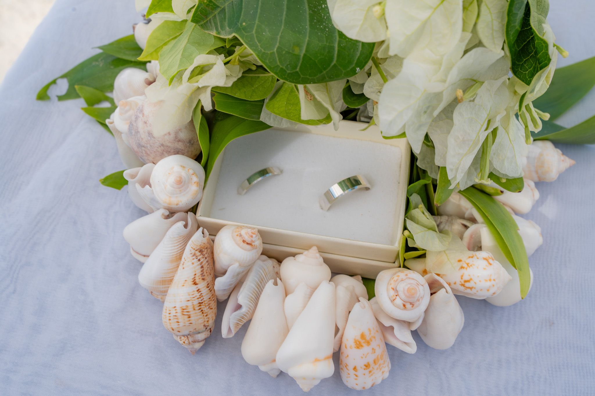 Wedding rings nestled among fresh flowers and seashells
