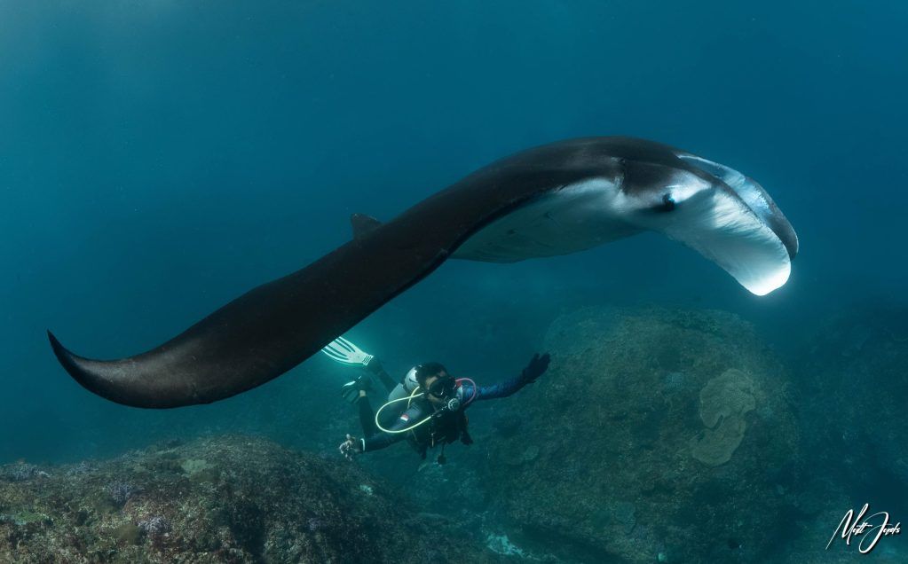 Scuba Diving Adventures