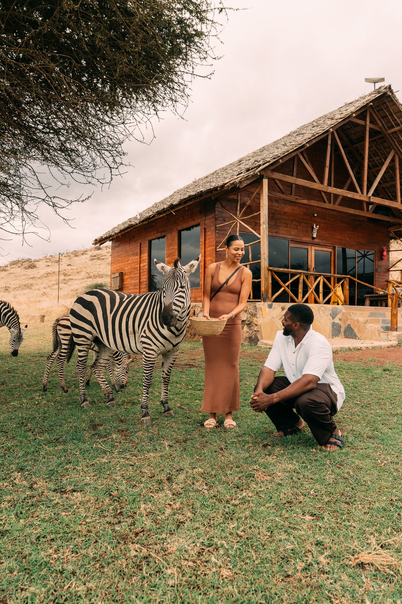 Couple feeding zebras at Serval Wildlife Park — woman holding basket, zebras grazing