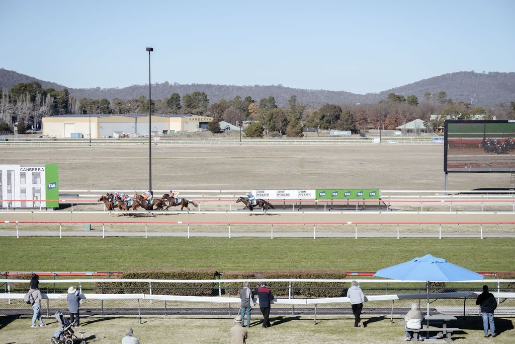 DDF Race Day 1.0 at Thoroughbred Park, Canberra