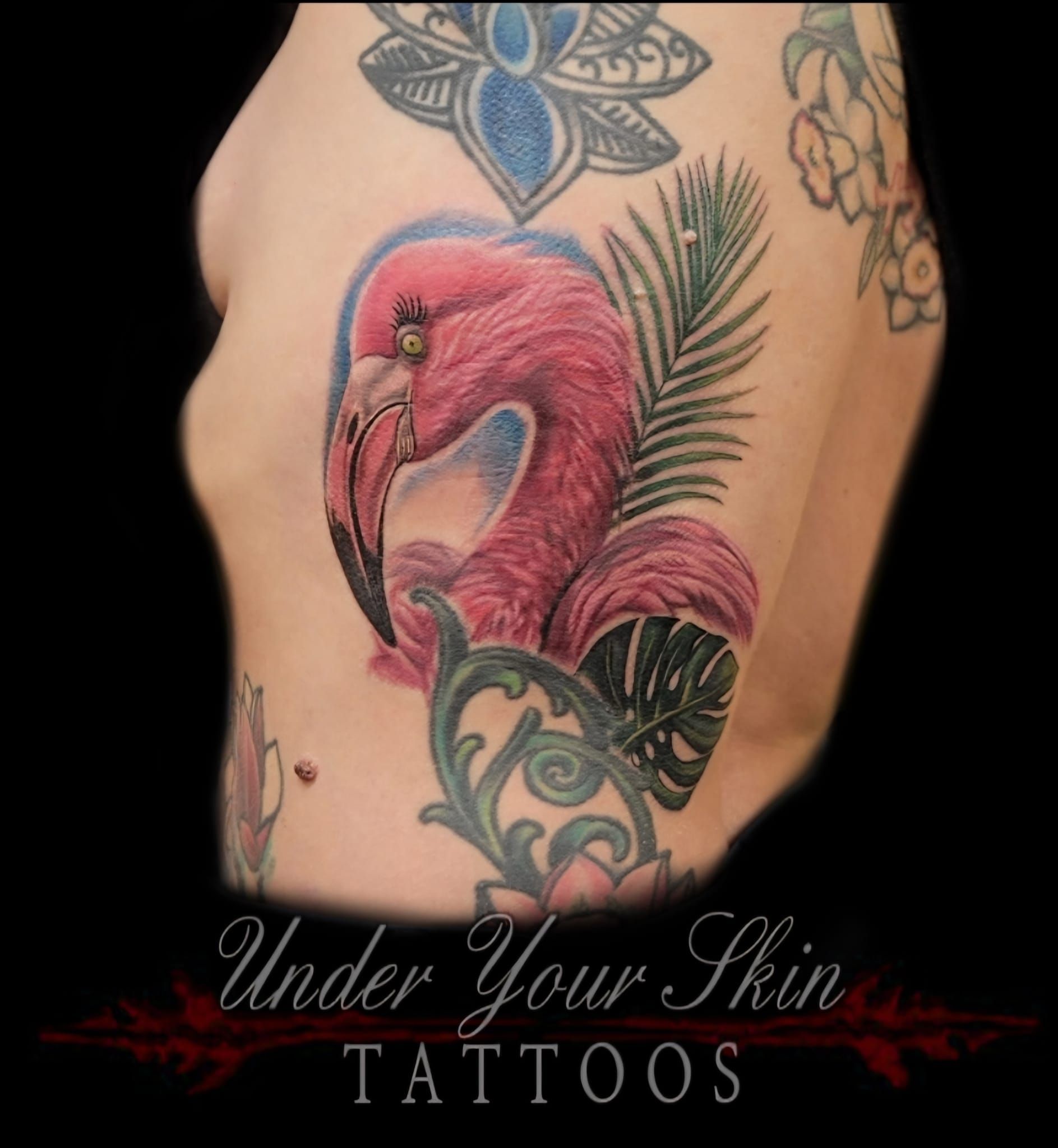 Flamingo