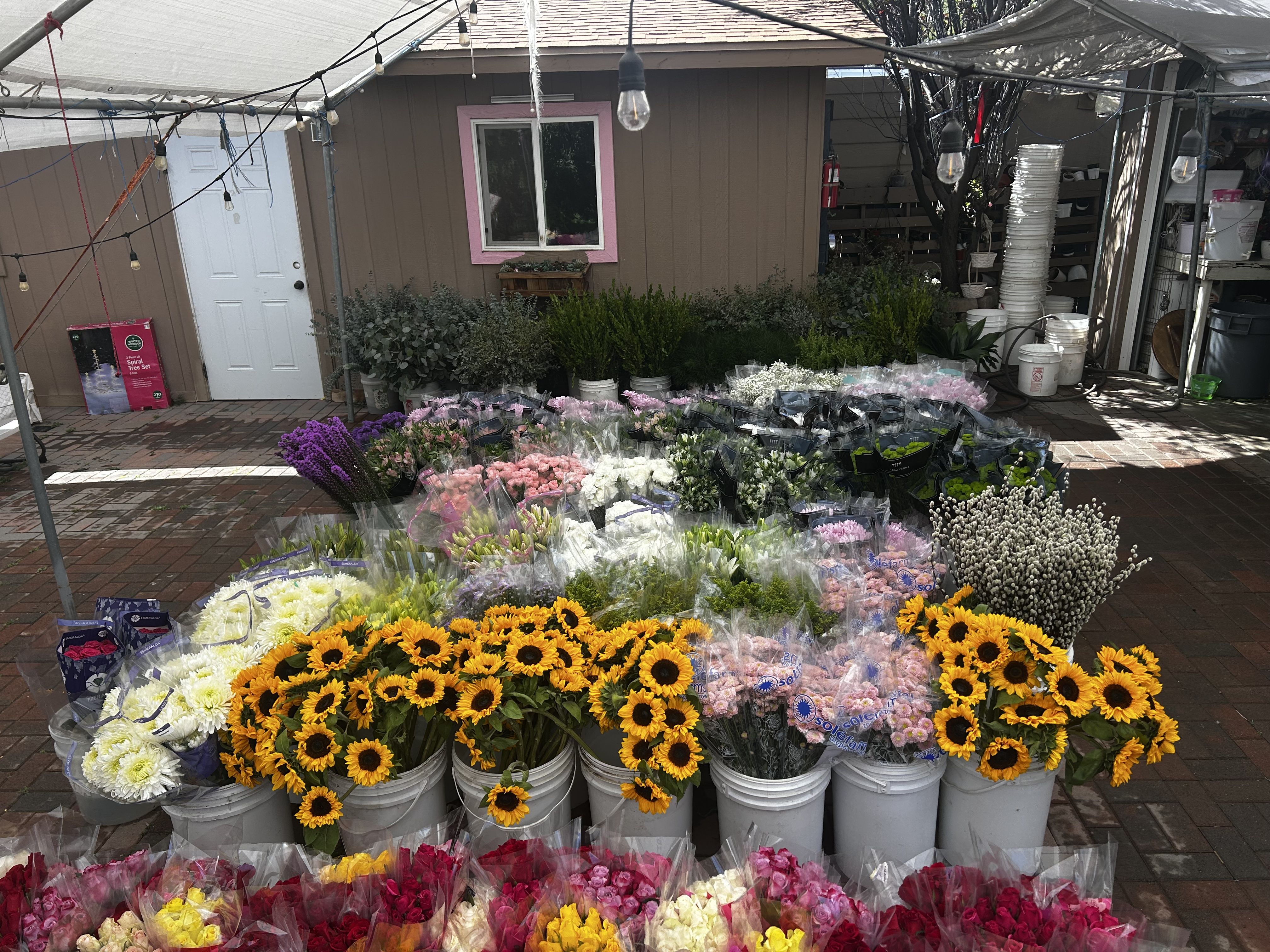 Outdoor flower display โ sunflowers, carnations, and fresh blooms