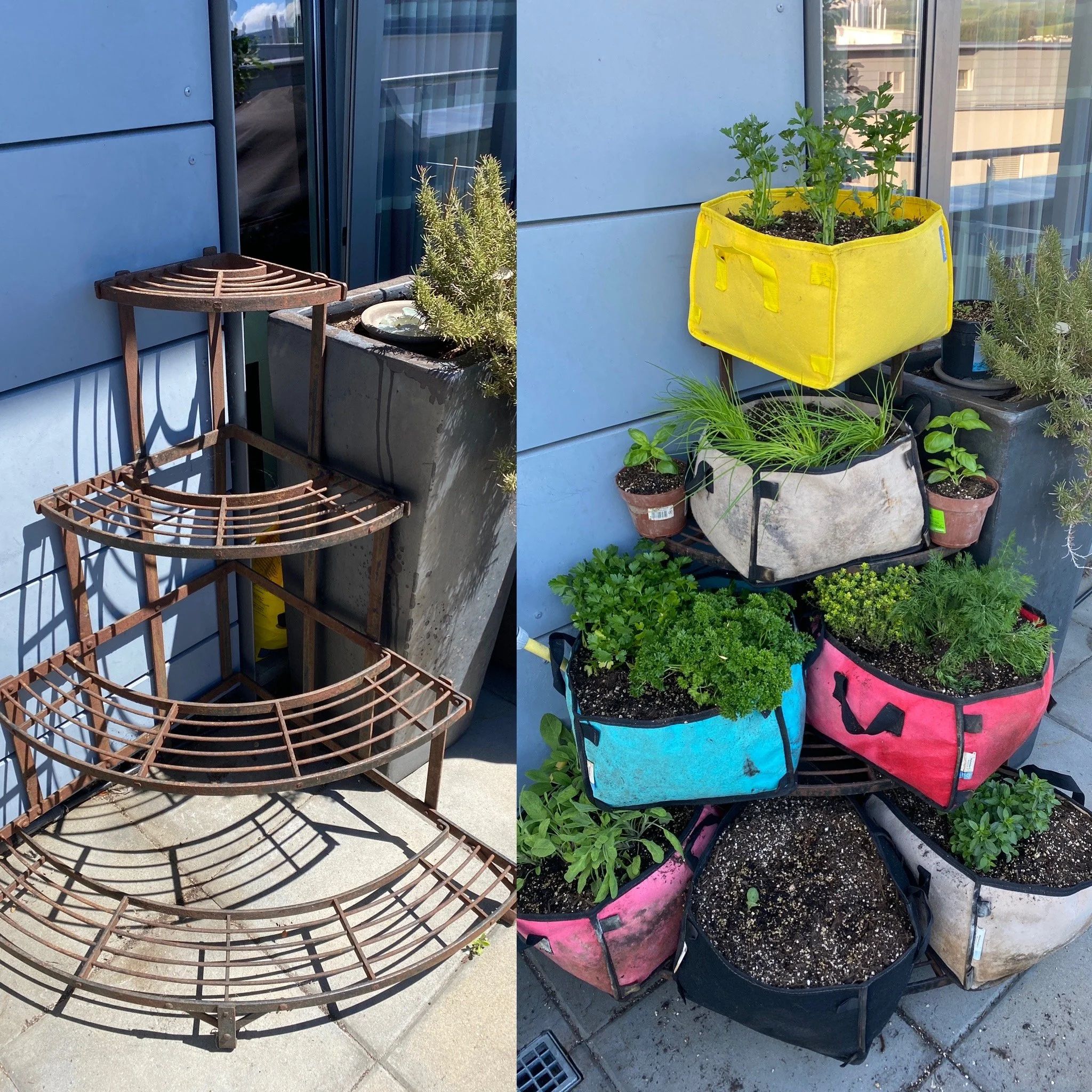 Before and after plant rack transformation