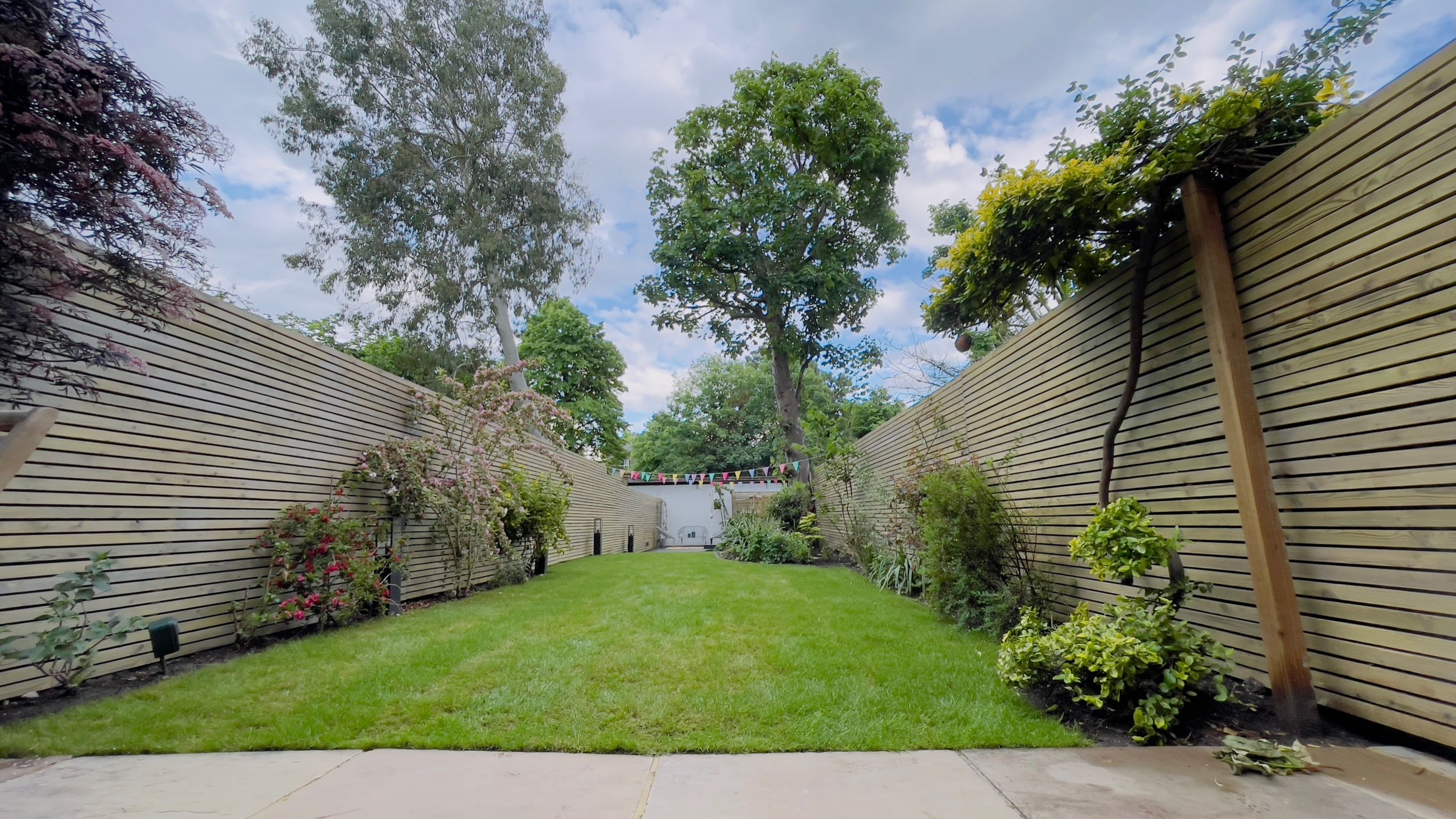 Completed bespoke garden design and landscaping project by Wicked Gardens LTD in South East London — porcelain paving, structured evergreen planting and premium outdoor space
