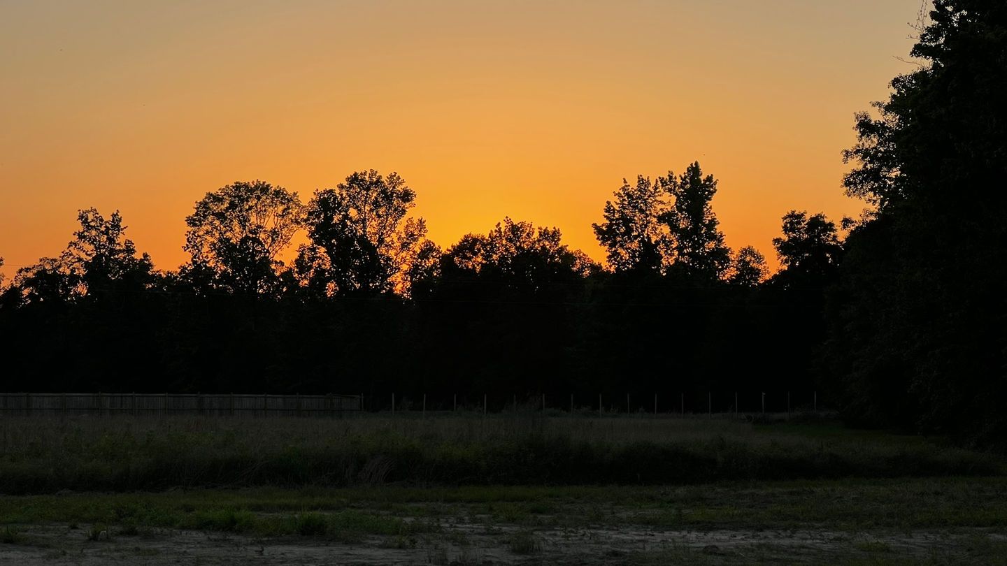 Farmcamp sunset