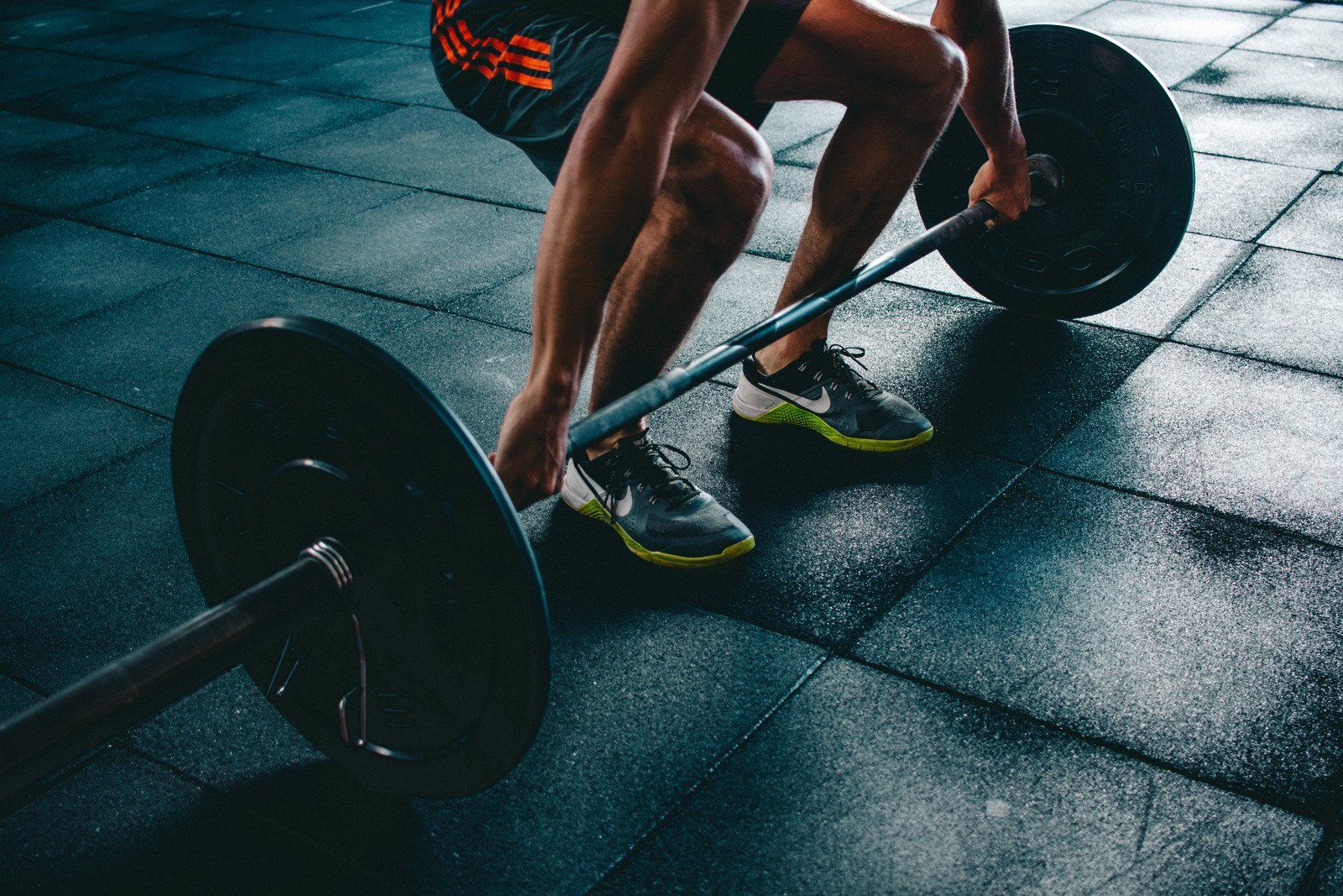 Fitness Enthusiast