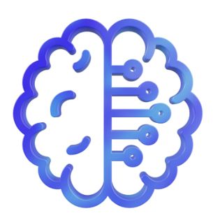 Brain Support Logo