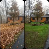 Before and after fall cleanup