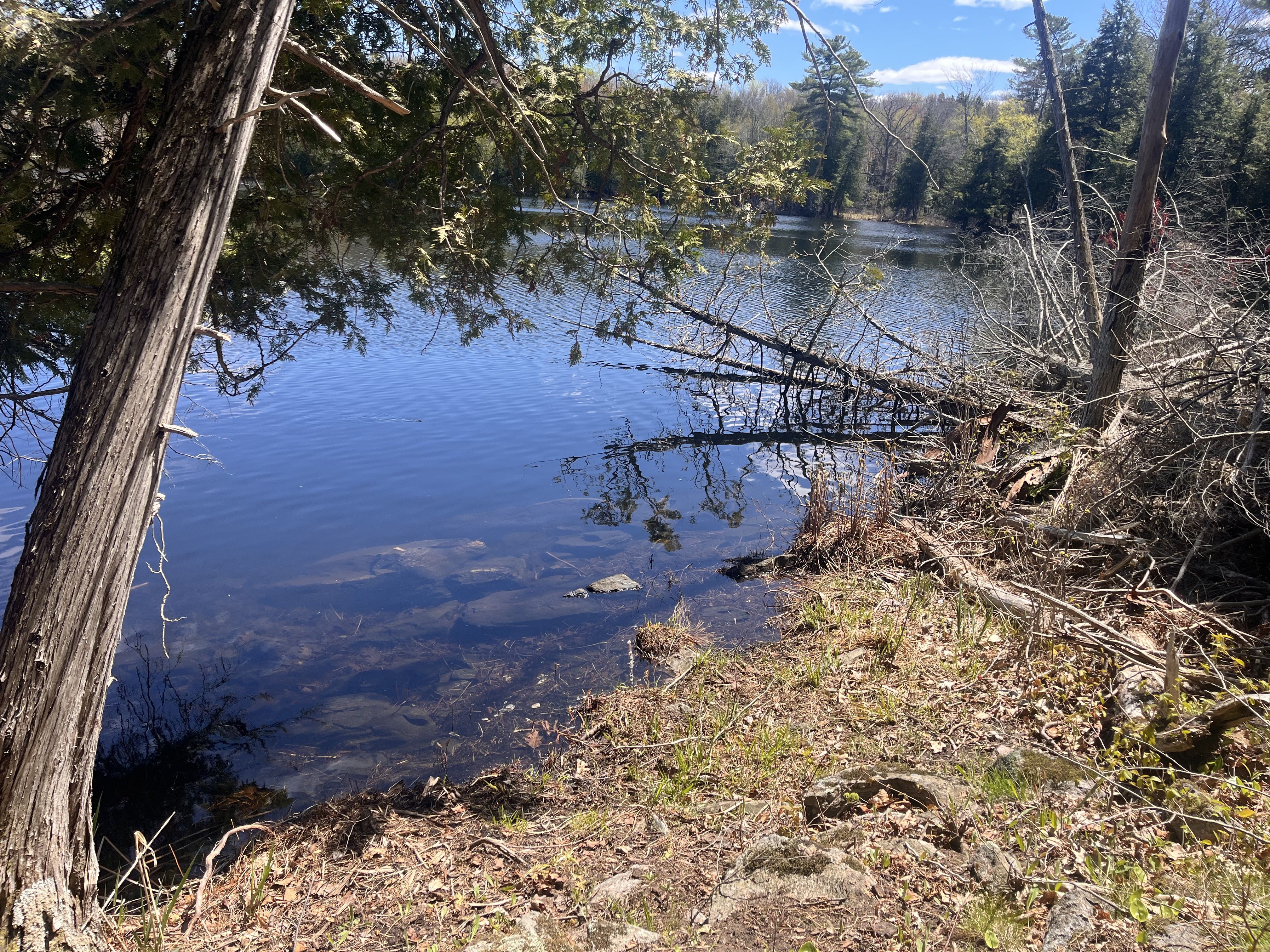 Base camp water access near Sharbot Lake