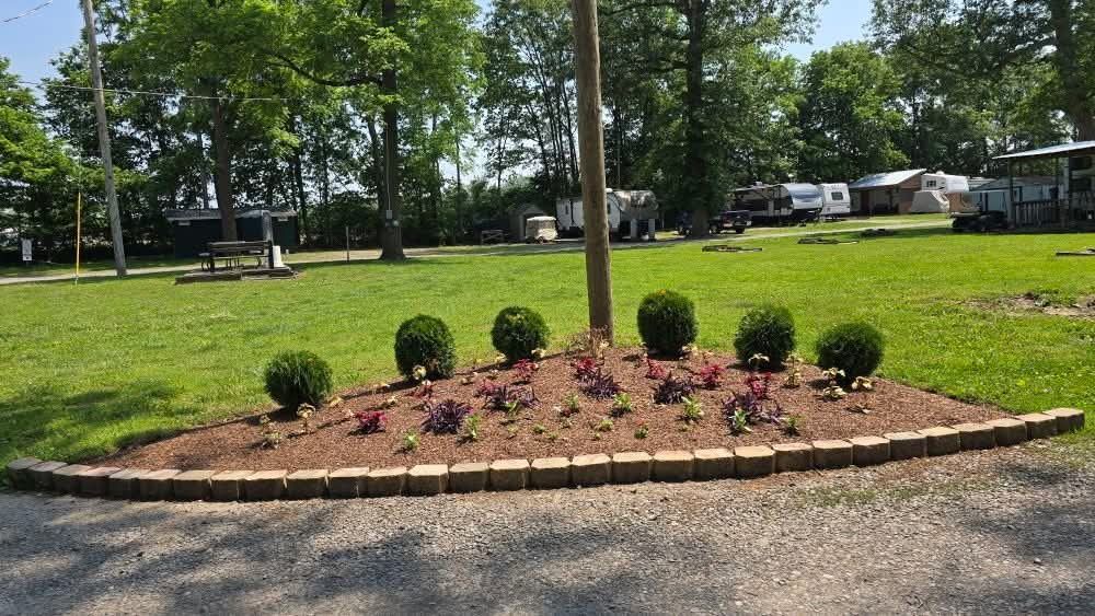Triangular garden bed with shrubs and utility pole at Welcome Woods