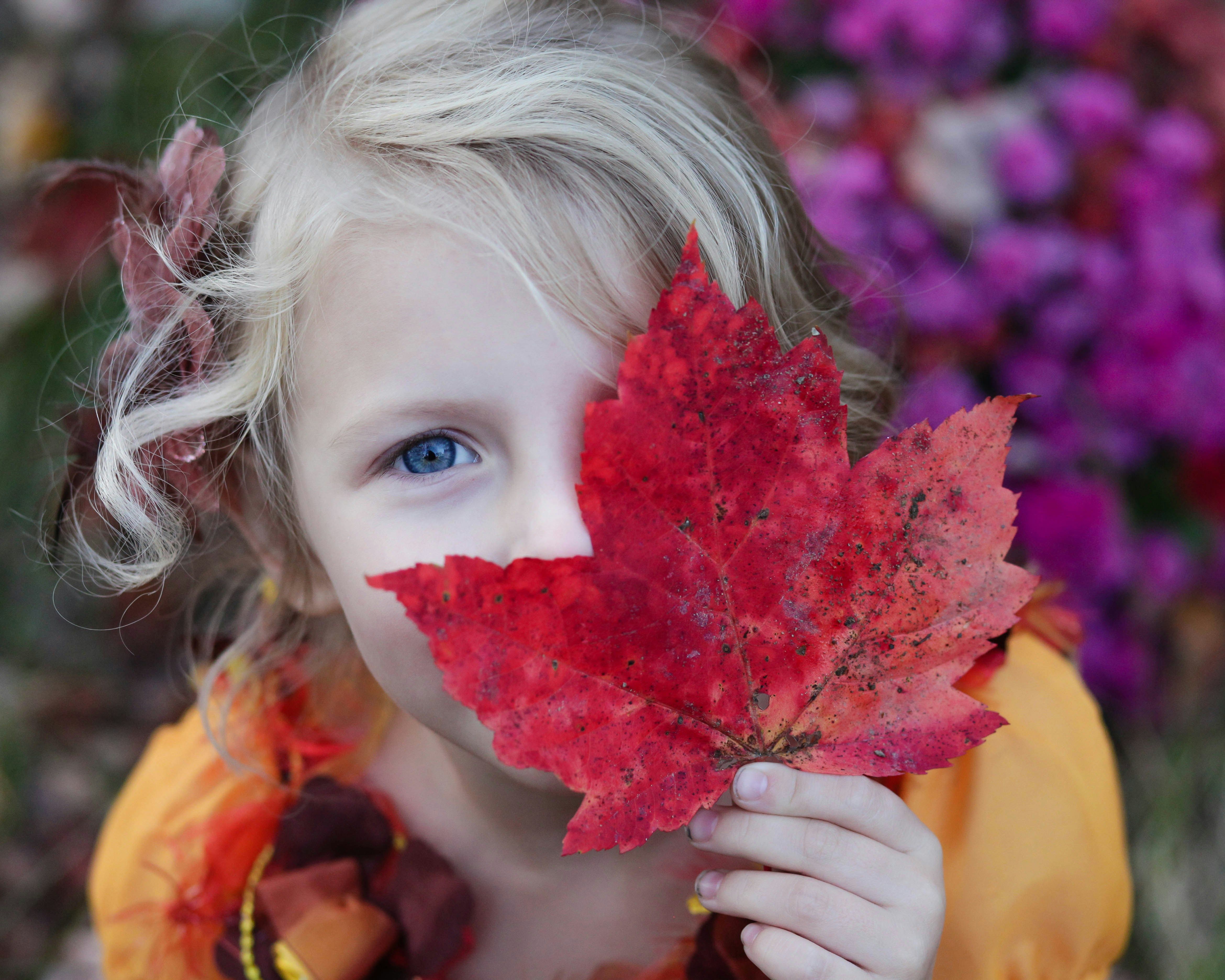 Young child holding a maple leaf playfully