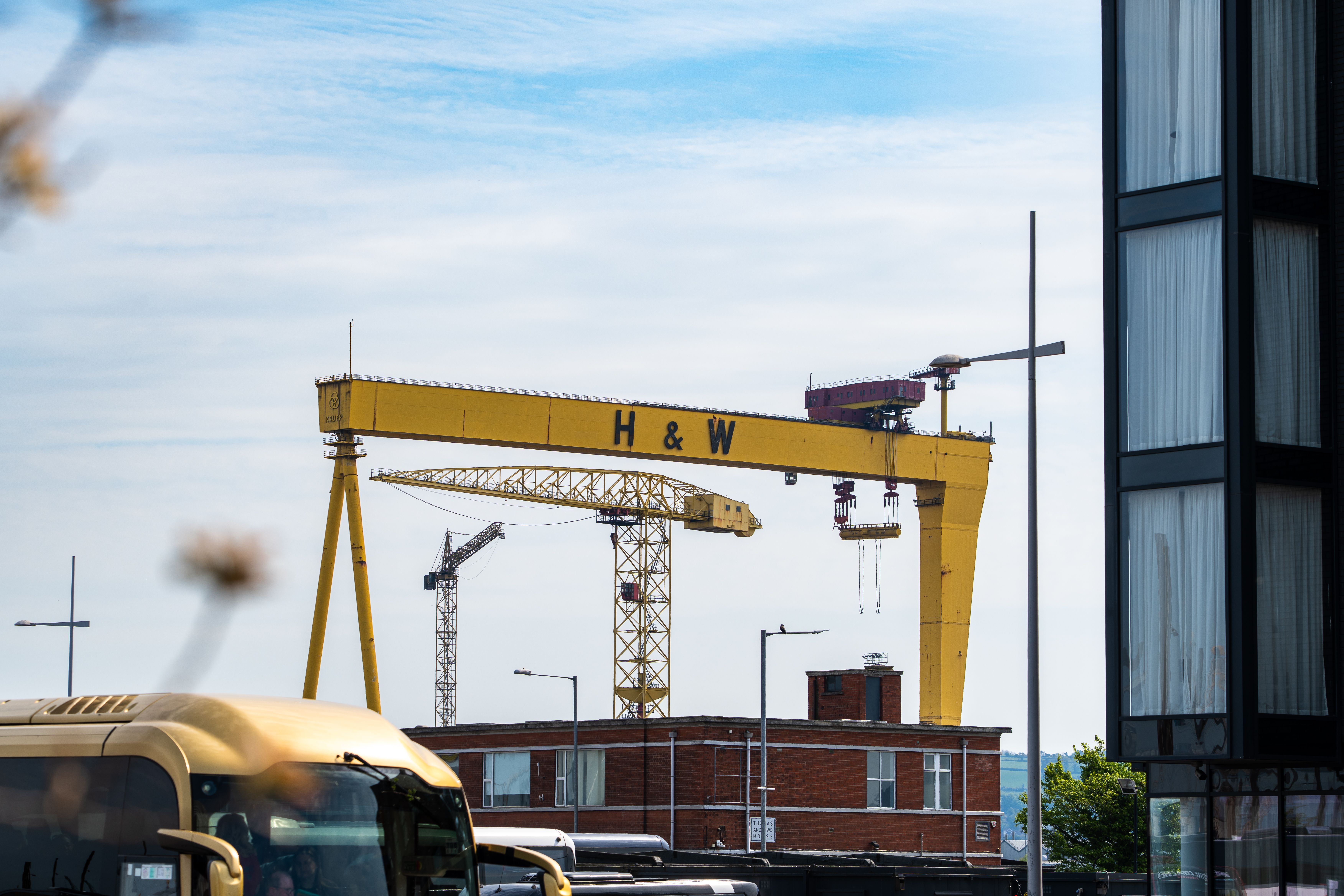 Harland and Wolff cranes in Belfast docklands