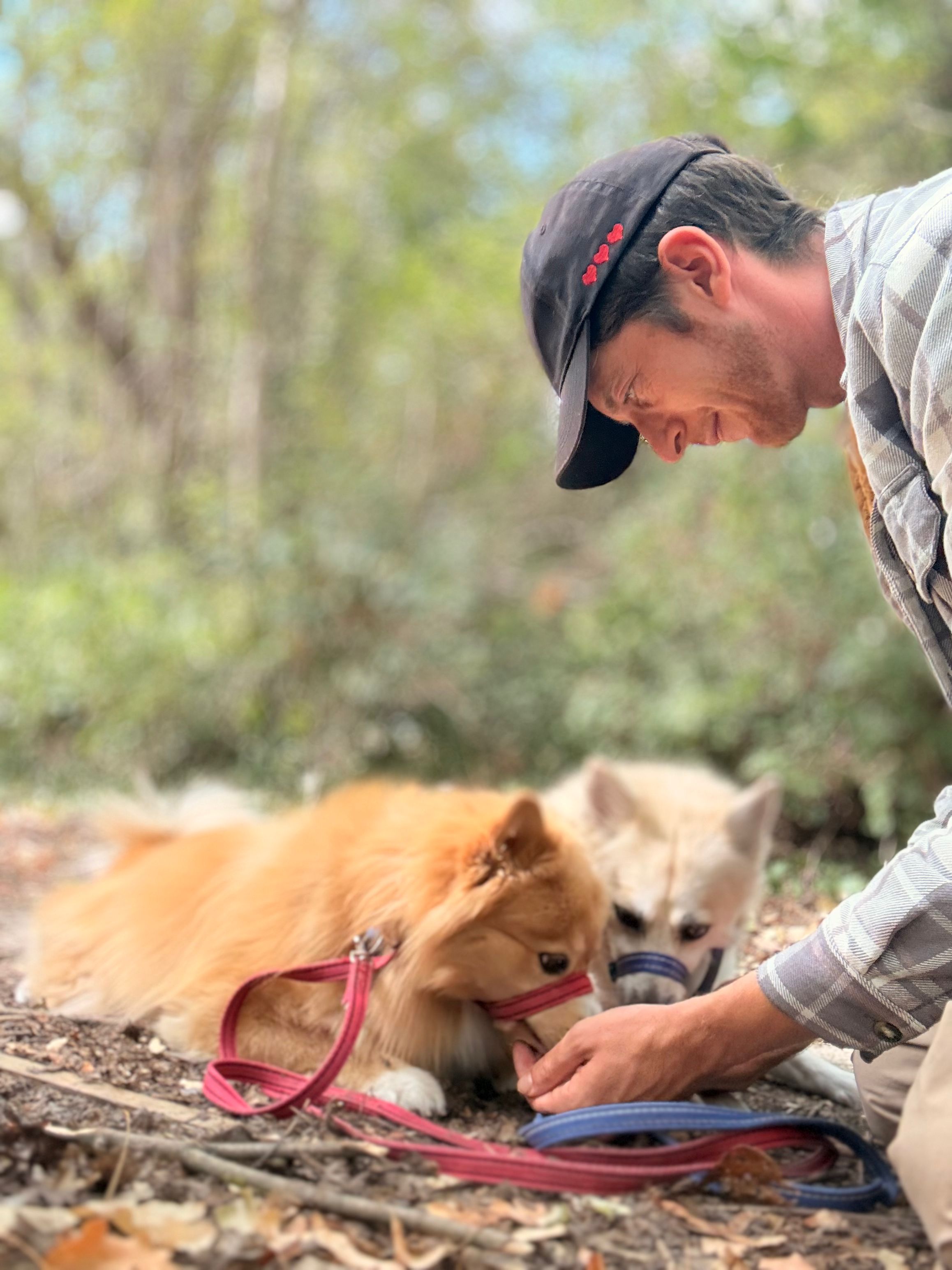Patrick with two dogs outdoors
